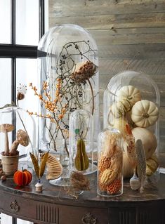 a table topped with vases filled with different types of plants and mushrooms on top of it