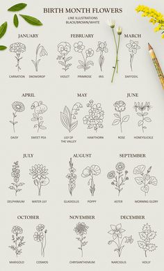 the birth month flowers are shown in black and white, with pencils next to them