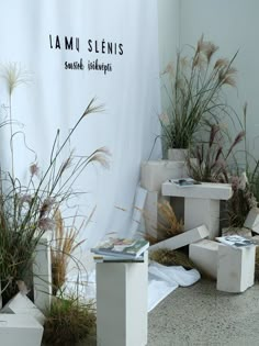 there are many planters that have been placed on the ground in front of a white wall