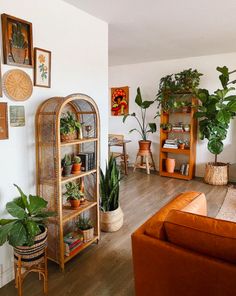 a living room filled with lots of potted plants next to a brown couch and bookshelf