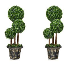 two small potted trees are shown in front of each other on a white background