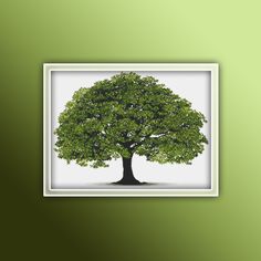 an image of a tree in the middle of a green background with white border around it