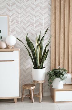 a potted plant sitting on top of a wooden stool next to a white wall