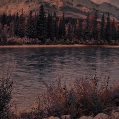 there is a mountain in the distance with trees around it and water below them,