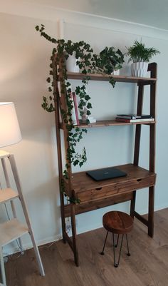 a wooden shelf with books and plants on it