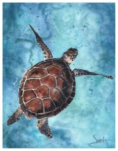 a painting of a turtle swimming in the ocean