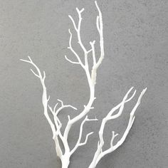 a white tree with no leaves on it in front of a gray wall and floor