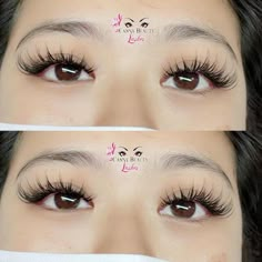 Sunflower Eyelash Extensions, Sunflower Lash Extensions, Wispy Anime Lash Extensions, Doll Lash Map, Sunflower Lashes, Anime Sunflower, Prom Prep, Natural Long Eyelashes