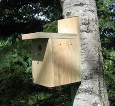 a bird house hanging from the side of a tree