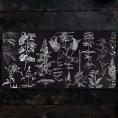 a black and white photo of various plants on a table with wood planks in the background