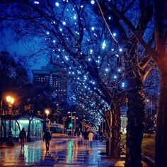 people walking down the street at night with lights on trees and buildings in the background