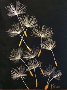 some white and yellow flowers are on a black board with writing underneath it that says,'dandelion '