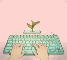 two hands typing on a computer keyboard with a plant growing out of the top one