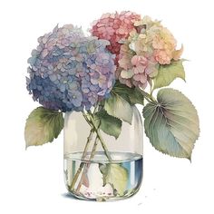 watercolor painting of hydrangeas in a glass vase