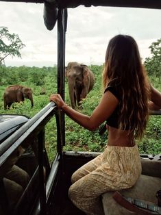 a woman sitting on the back of a truck looking out at an elephant in the distance