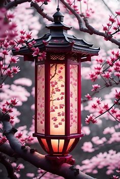 a lantern hanging from a tree filled with pink flowers