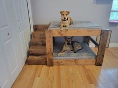 two dogs are sitting on their beds in the house