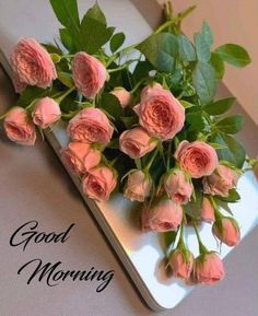 a bouquet of pink roses sitting on top of a white tray with the words good morning