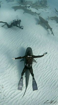 two people in scuba suits are swimming with sharks