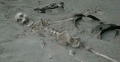 there is a skeleton in the sand with other bones on it and another bone laying next to it