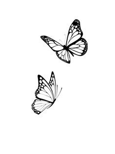 two butterflies flying side by side in the air with their wings spread out and facing each other