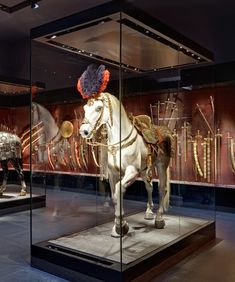 two horses in glass cases with armor on them