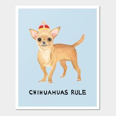 a chihuahua dog with a crown on it's head and the words chihuahuas rule