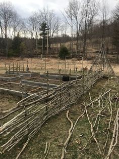 a fence made out of sticks and branches in the middle of a field with trees