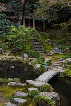 a small pond in the middle of a forest with steps leading up to it and moss growing on the rocks