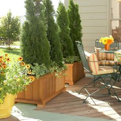 a wooden deck with potted plants on it and an outdoor dining area in the background