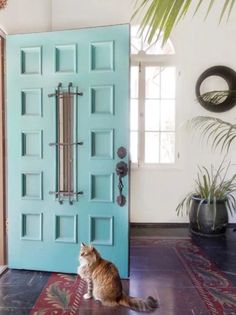 a cat laying on the floor in front of a blue door