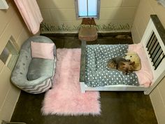 a cat laying on top of a dog bed in a room with pink rugs