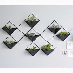 a wall mounted planter with succulents and plants on it's sides