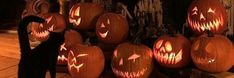 a black cat standing in front of carved pumpkins