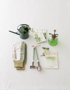 gardening supplies laid out on top of a white table with a green watering can and garden gloves