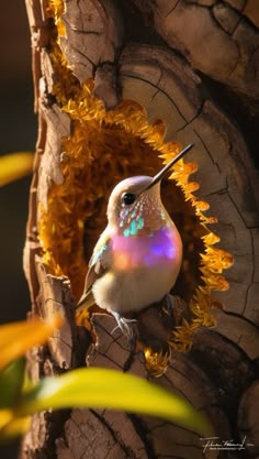 a small bird sitting in the middle of a tree branch with yellow flowers around it