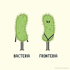 two green plants with the words bacter and fronteria