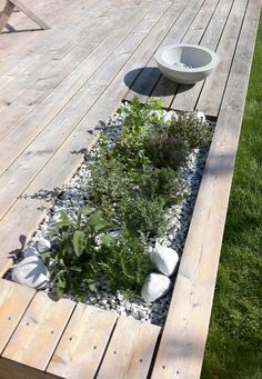 a wooden deck with rocks and plants in it next to a bowl on the ground