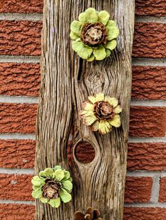 three flowers are attached to the side of a tree trunk