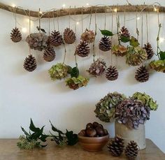 some pine cones are hanging from a branch with lights on it and flowers in a bowl