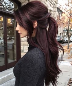 Trendy Deep Mahogany Long Sleek Ponytail for Brunettes with Fall Colors Dark Cherry Hair With Money Piece, Long Hair Trends 2024, Mahagony Hair Color, Long Sleek Ponytail, Dark Mahogany Hair, Fall 2024 Brown Hair, Dark Hair Fall 2024, Brown Hair Fall 2024, Burnett Hair Color Ideas For Fall 2024