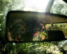 the sun shines through the trees and plants in the rear view mirror on a vehicle