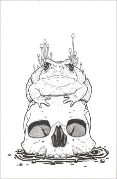 a frog sitting on top of a human skull with eyes closed and one eye open