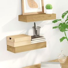 two wooden shelves holding books, a plant and a cup on top of each shelf