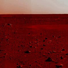 a red dirt field with rocks on it