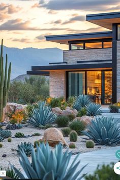 a modern home with cactus and succulents in the front yard at sunset