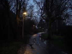 a wet road at night with street lights on the side and trees in the background