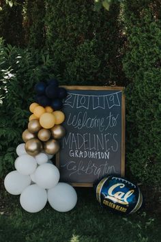 balloons and a sign are on the ground near some bushes, with a football helmet