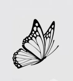 a black and white photo of a butterfly