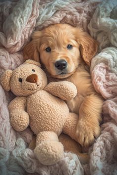 a puppy laying in bed next to a teddy bear